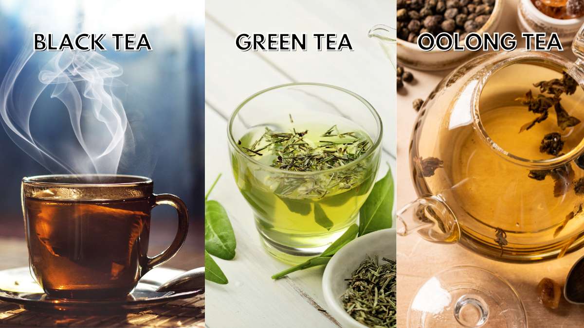 Comparison of Green, Black and Oolong Tea