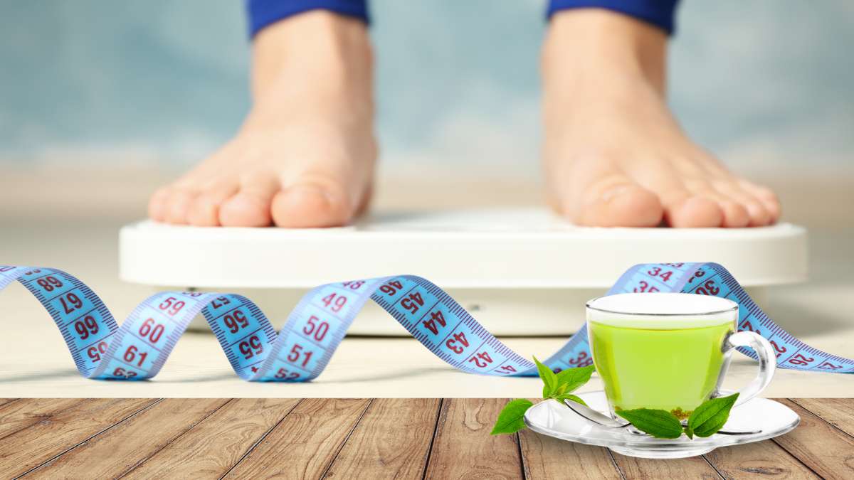 Green Tea and Its Weight Loss Effects
